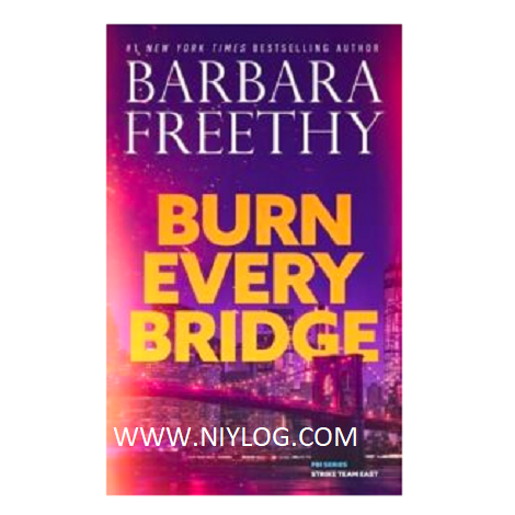 Burn Every Bridge by Barbara Freethy