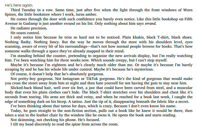 Breaking the Thief by Jenna Rose