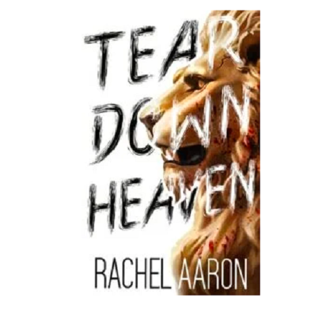 Tear Down Heaven by Rachel Aaron 