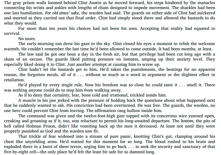 The Ten Year Lie by Debra Webb A