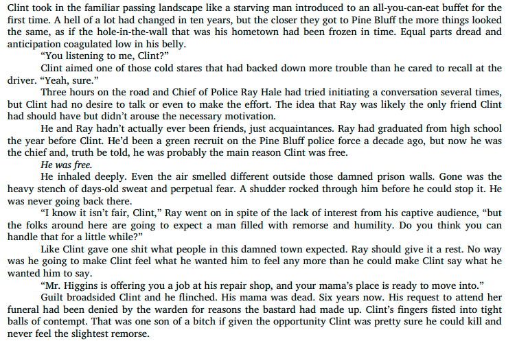 The Ten Year Lie by Debra Webb A