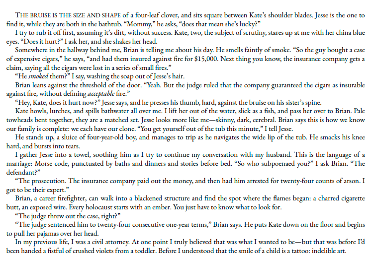My Sister’s Keeper by Jodi Picoult