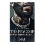 The Pryce Of Loving A Boss by Nai