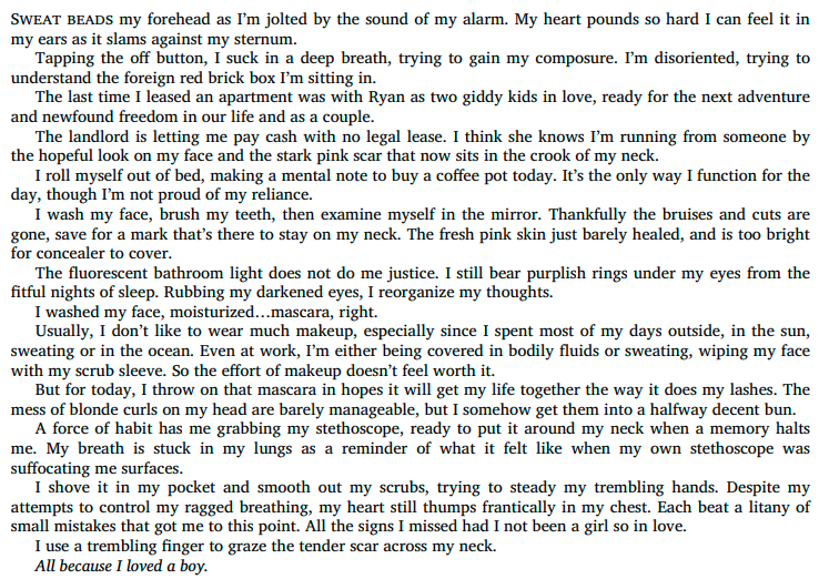 The Promises We Made by TS Cap