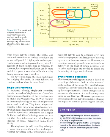 Cognitive Psycholog by Michael W. Eysenck & Mark T. Keane