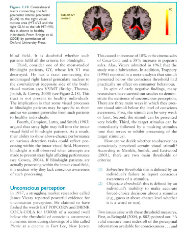 Cognitive Psycholog by Michael W. Eysenck & Mark T. Keane