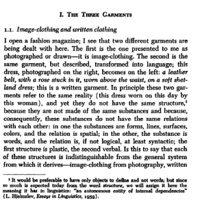 The Fashion System by Roland Barthes
