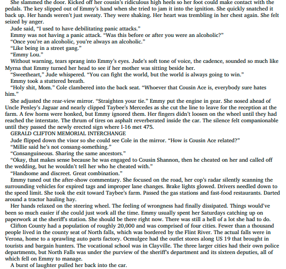 The Secrets We Hide by Karin Slaughter 