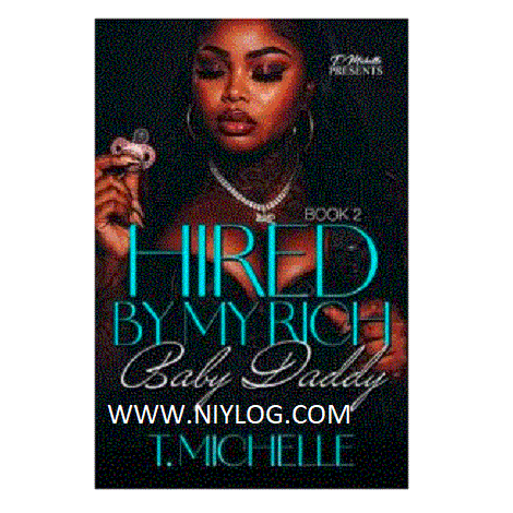Hired By My Rich Baby Daddy 2 by T. Michelle
