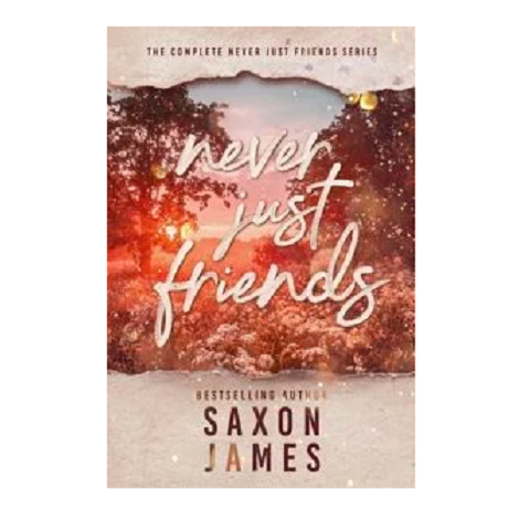 Never Just Friends Box Set by Saxon James