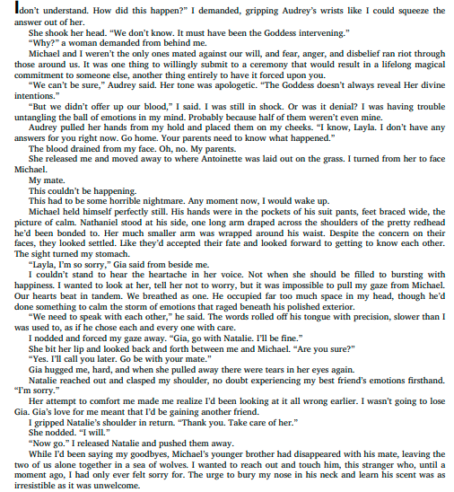 The Lunatics by Navessa Allen b