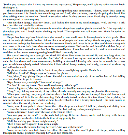 The Summer We Lie by Erica Jade