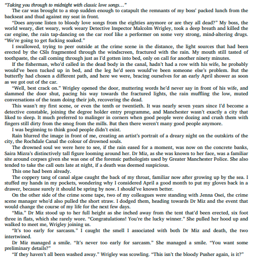 The Unforgiven by Annie Dyer